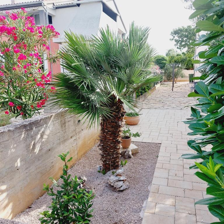 Zahrada ubytování Apartments Lavanda Vodice
