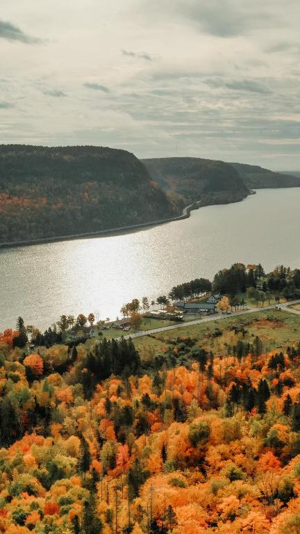a view of a body of water with trees at Le 2800 du Parc in Shawinigan