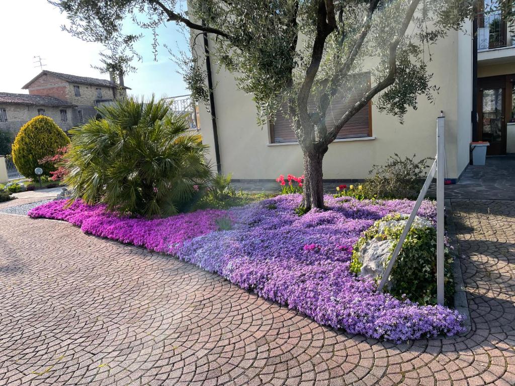 Zahrada ubytování Rifugio Primavera