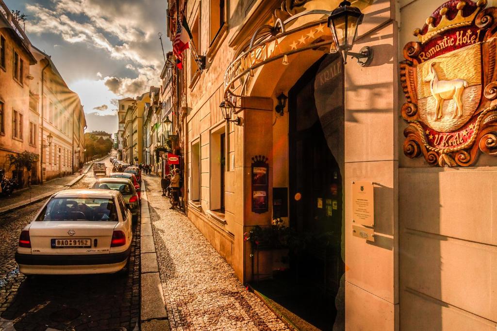 The King Charles - Resim 11