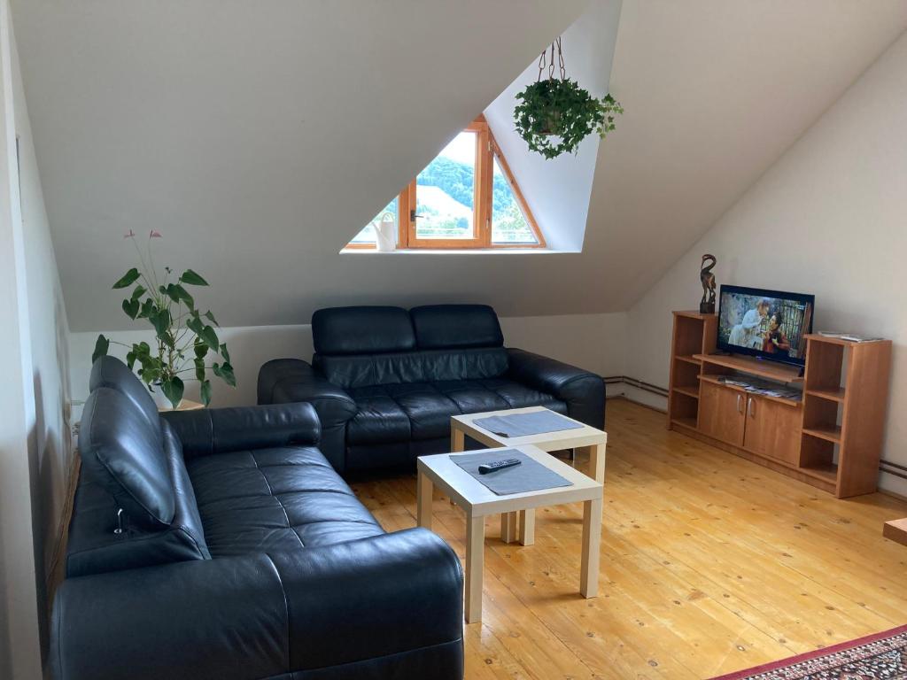 Apartmán pod Lázněma - отзывы и видео