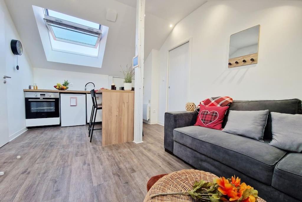 a living room with a couch and a kitchen at Le ciel étoilé, Belfort ville in Belfort