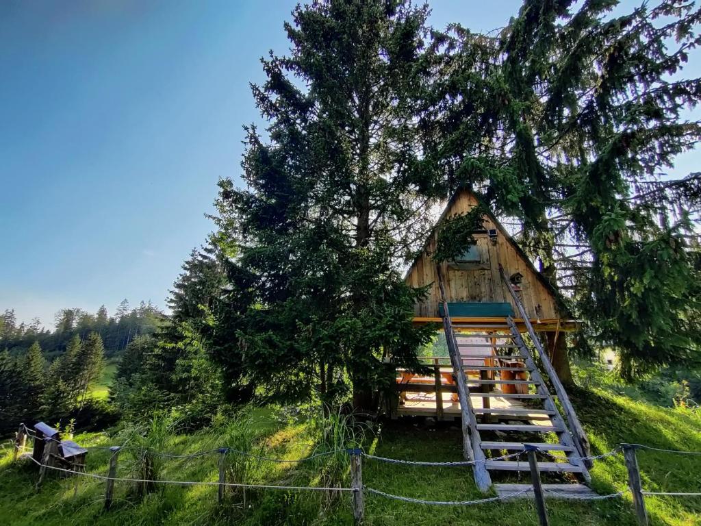 uma pequena cabana num campo com uma árvore em Get your zen among the trees em Stahovica