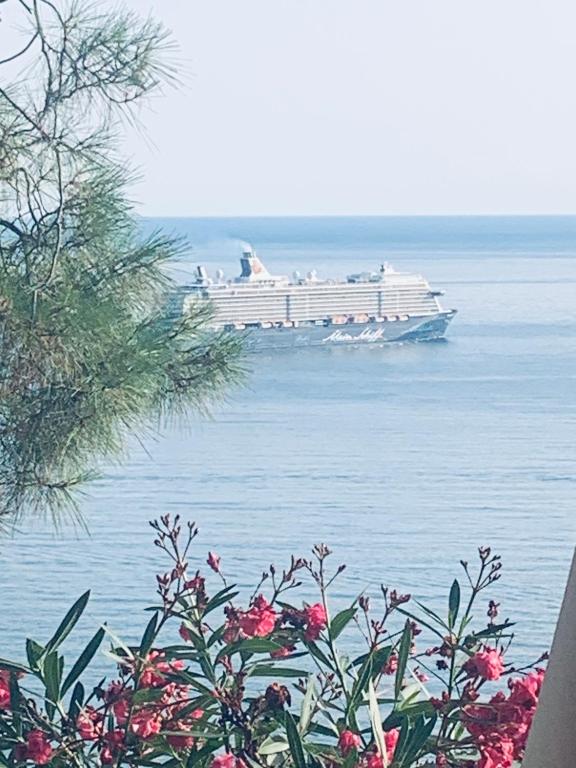 a cruise ship in the water with pink flowers at Райское место in Šušanj