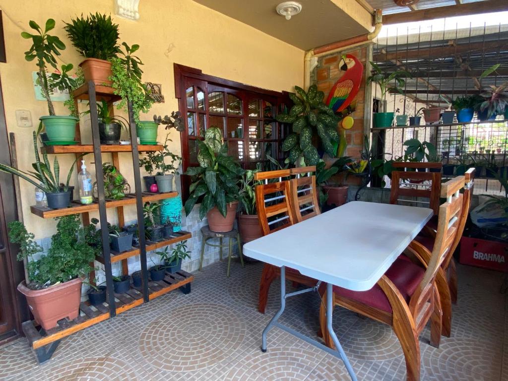 einen Tisch und Stühle in einem Zimmer mit Topfpflanzen in der Unterkunft Hostal Yahuarcaca in Leticia
