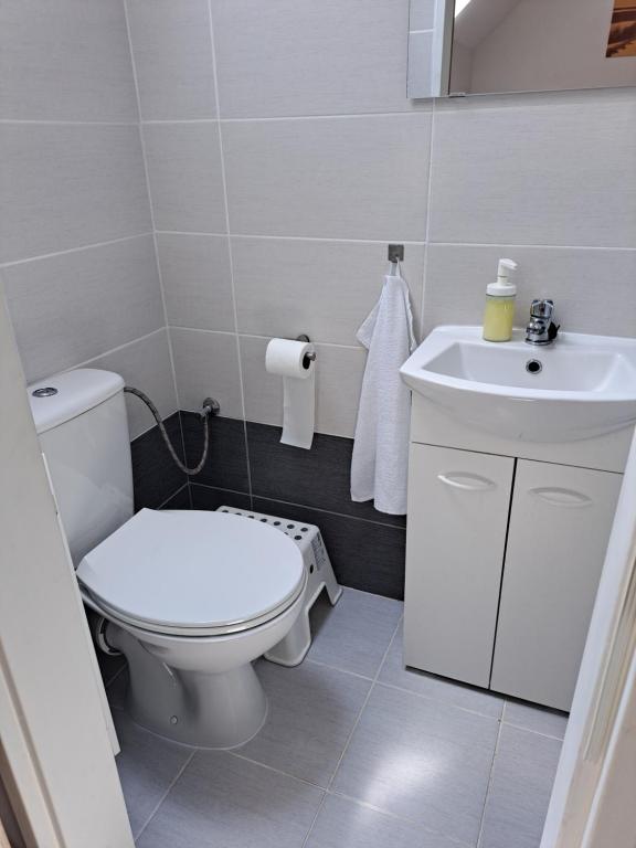 Koupelna v ubytování Apartmány Amália