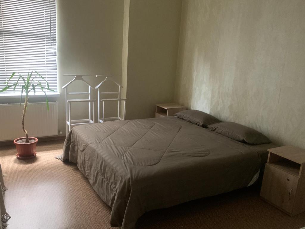 um quarto com uma cama, uma janela e uma planta em Ludmila guest house - гостевой дом "Людмила" em Odessa