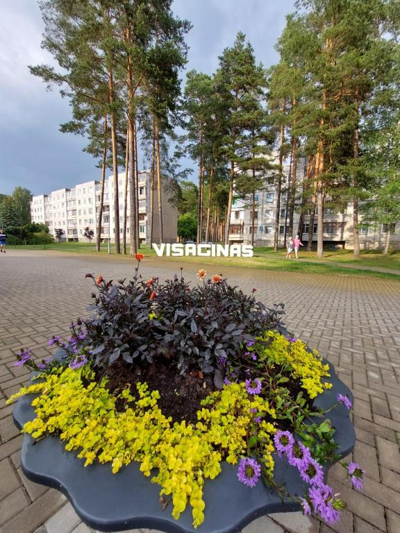 a flower bed in a park with yellow and purple flowers at Patogus poilsis prie ežero/Comfortable rest in Visaginas