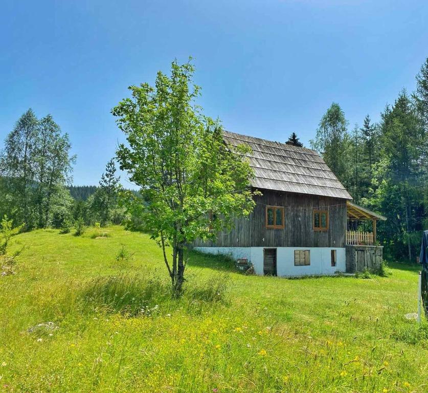 a barn in a field with a tree in the foreground at Vukov Konak - Wolf's lodge in Žabljak