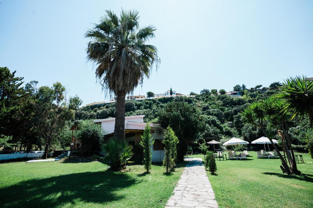 a palm tree in a yard with a house at Limna Afitos in Afitos