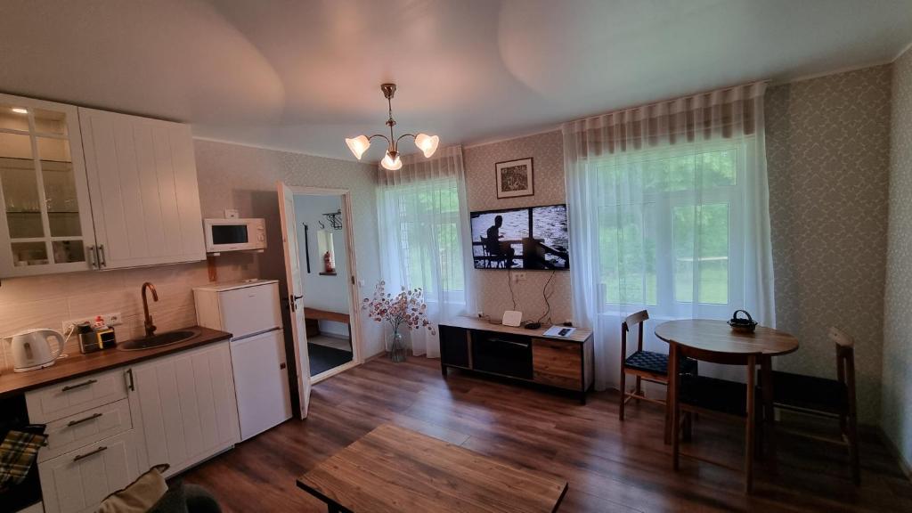 穆斯特韋的住宿－Mustvee Puhkemaja，厨房、带桌子的用餐室和用餐室