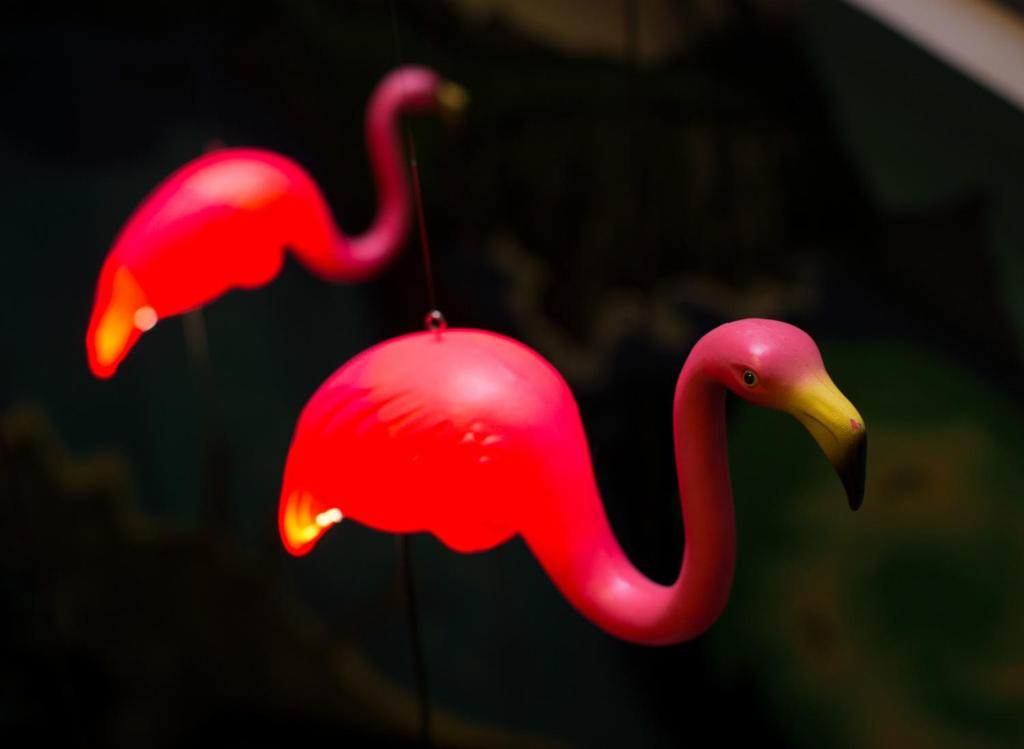 Alabama Hotel Hobart - Resim 43