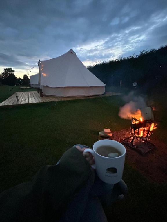 Roe Deer Meadow at Carr House Farm 2