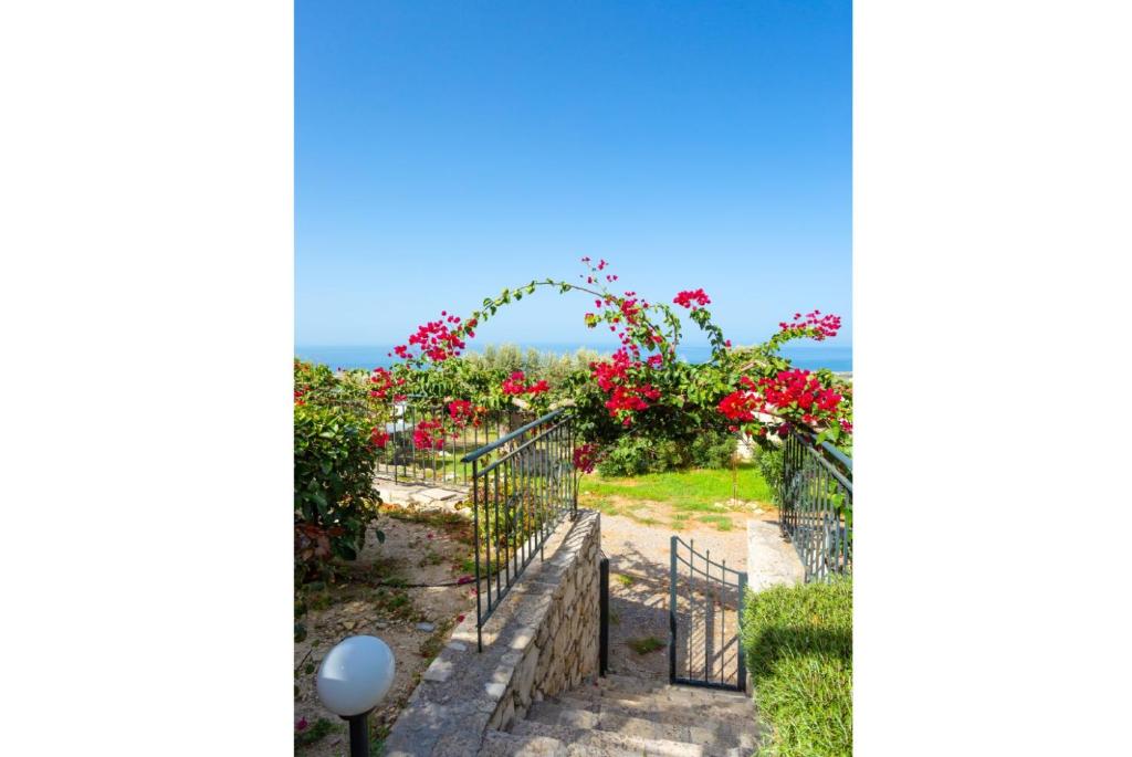 A garden outside Villa Garifallia