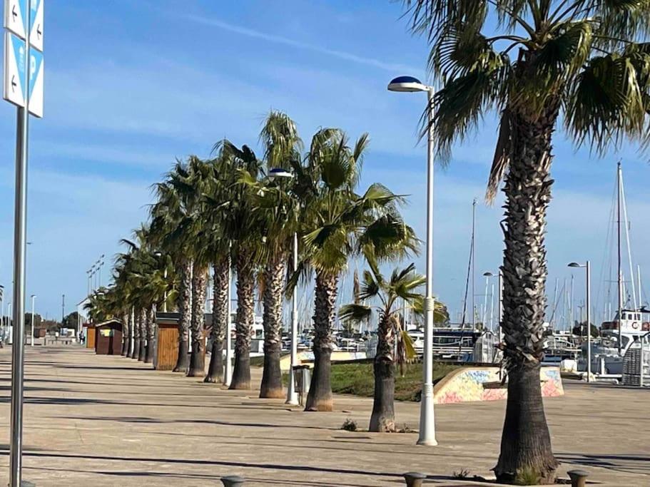 a row of palm trees on a sidewalk with a street light at Evinrude 2 in Sant Carles de la Ràpita