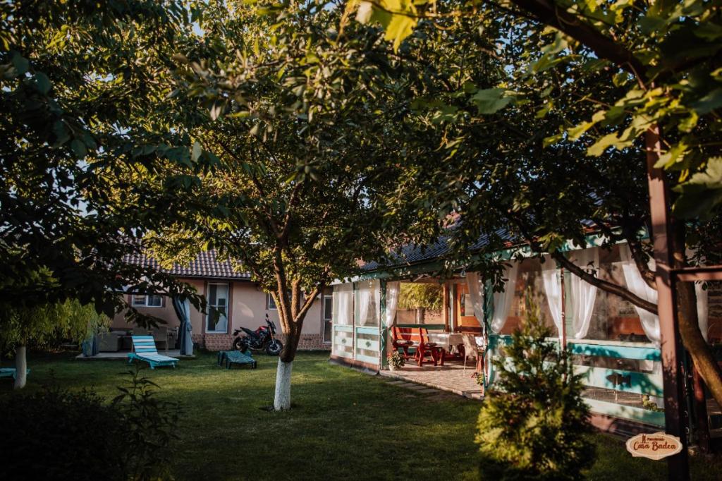 a yard with a tree and a house at Casa Badea in Murighiol