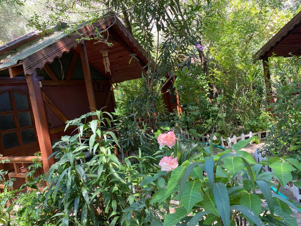 Canario Bungalows - 12