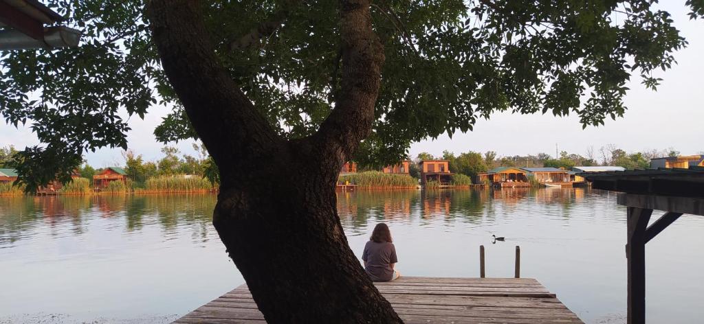 uma rapariga sentada numa doca ao lado de uma árvore em Kucica Claus em Ulcinj