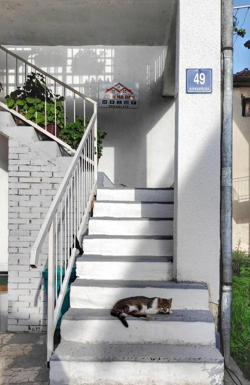 Apartman Šarac - شقة بغرفة نوم واحدة