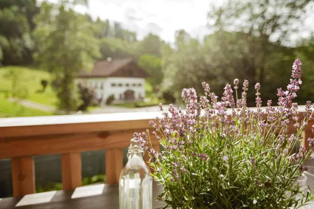 Zahrada ubytování Chalet 49 Nesselgraben - Ferienwohnungen aus Holz