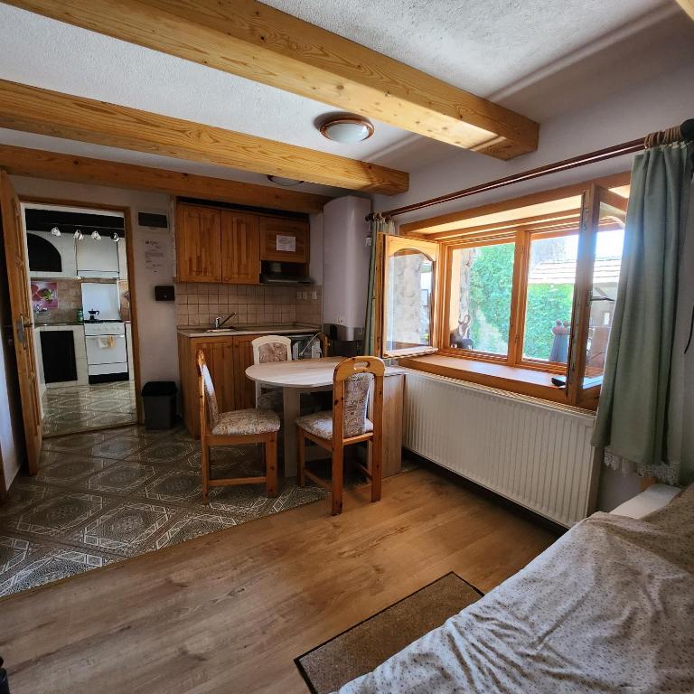 Kuchyň nebo kuchyňský kout v ubytování Fácán-Lak