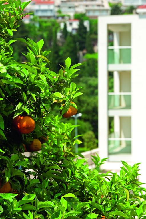 Vonkajšia záhrada v ubytovaní Dubrovnik Luxury Residence – L’Orangerie