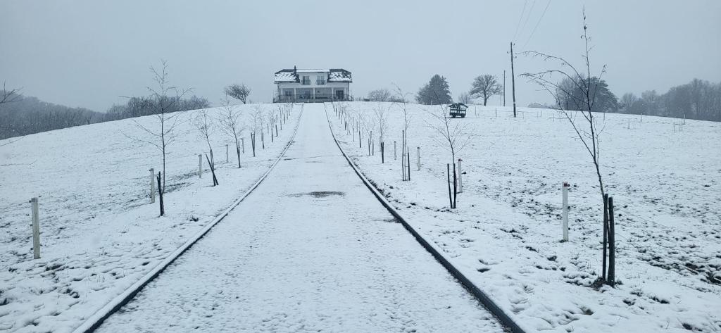 Villa Hojnik v zimě