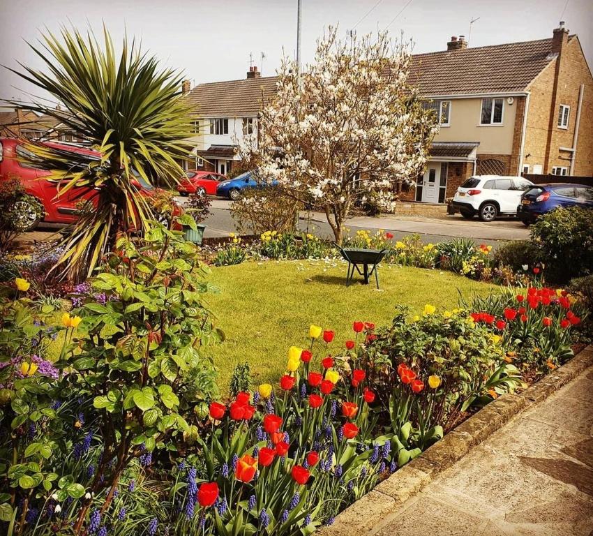 a garden with colorful flowers in a yard at Shirley's Place in Boston Spa