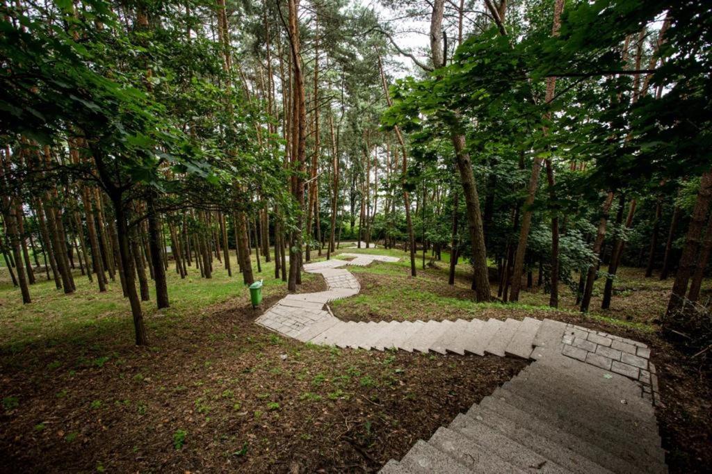 a stone path in a park with trees at Apartament nad Zalewem Zegrzyńskim in Serock