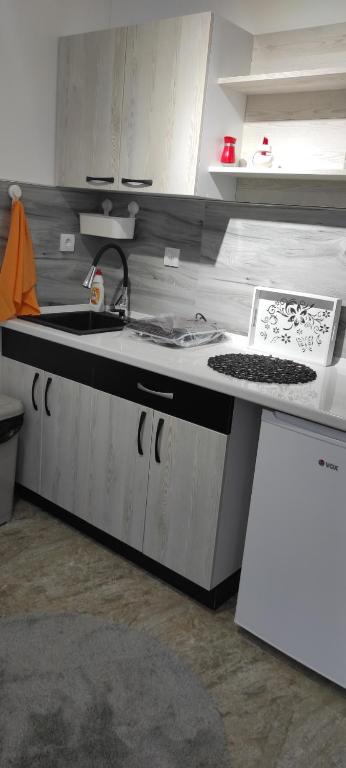 Kuhinja oz. manjša kuhinja v nastanitvi Apartmani Simić