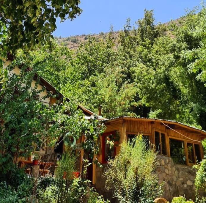 Acogedora cabaña entre montañas في سان ألفونسو: كابينة في وسط غابة فيها اشجار