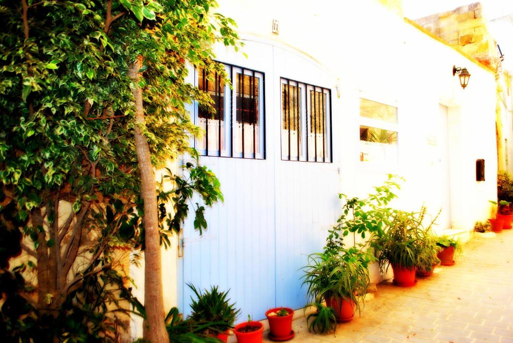 a white building with a blue door and some plants at Dar Ghax-Xemx Farmhouse in Victoria