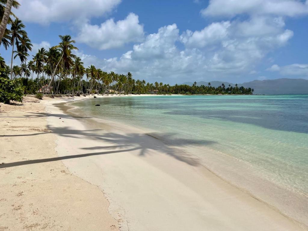 a beach with palm trees and the ocean at 21 Palms in Las Galeras