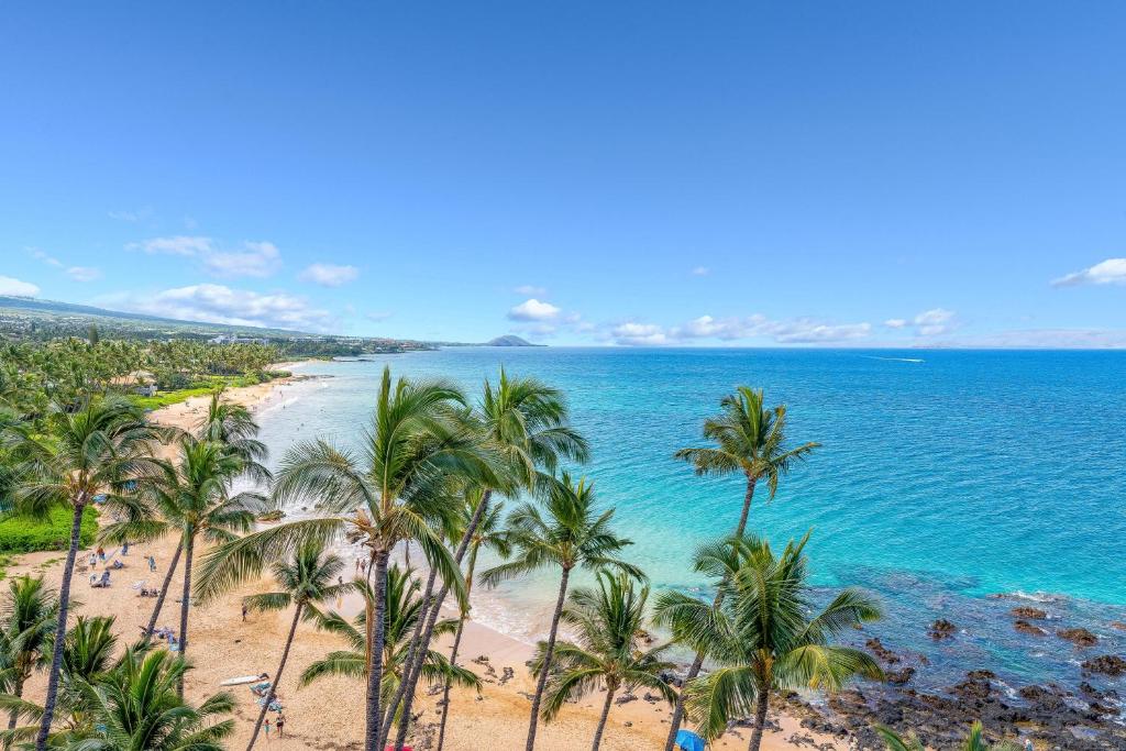 Blick auf einen Strand mit Palmen und das Meer in der Unterkunft Mana Kai 803 in Wailea