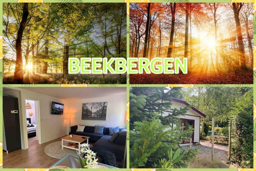een collage van foto's van een huis met de woorden achtertuin bij BEEKBERGEN staying in the WOODS freestanding chalet WASMACHINE ALL COUNTRY TV CHANNELS EXPATS WELCOME in Beekbergen