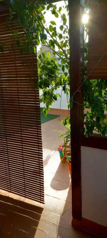 an open door to a patio with plants at Salicornia terrassa in Amposta