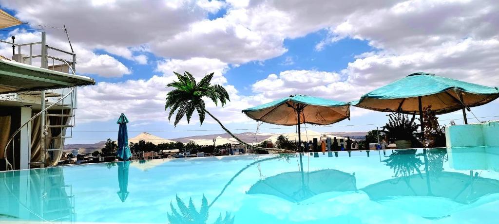 une grande piscine avec des parasols et un palmier dans l'établissement Hotel Ollanta rooftop, à Ica