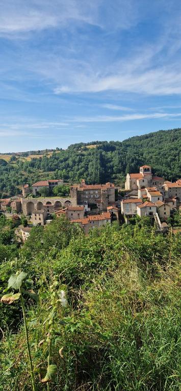 a group of buildings on a hill with green grass at La maison du vigneron in Auzon