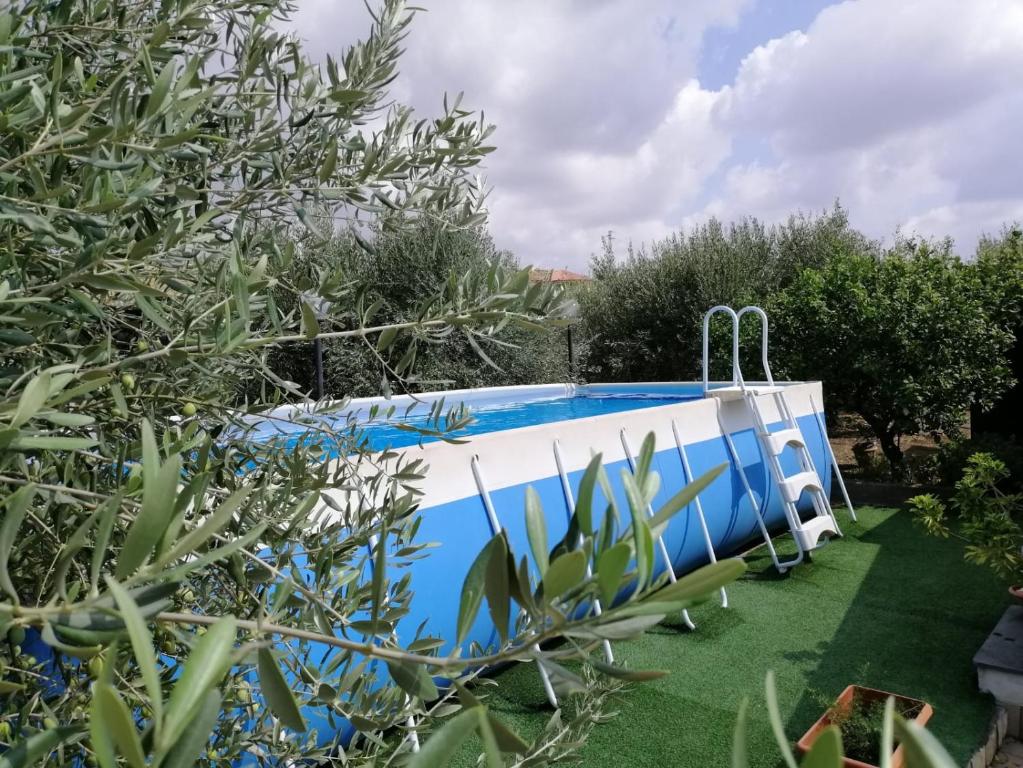 een blauw-wit zwembad in een tuin met bomen bij La casa degli ulivi in Centuripe