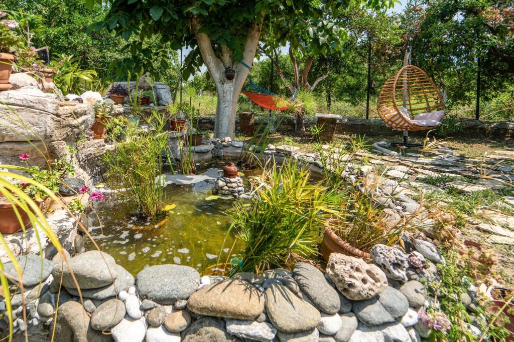 a garden with a pond with rocks and a tree at Vacation Flat w Garden Patio BBQ in Mugla in Mugla