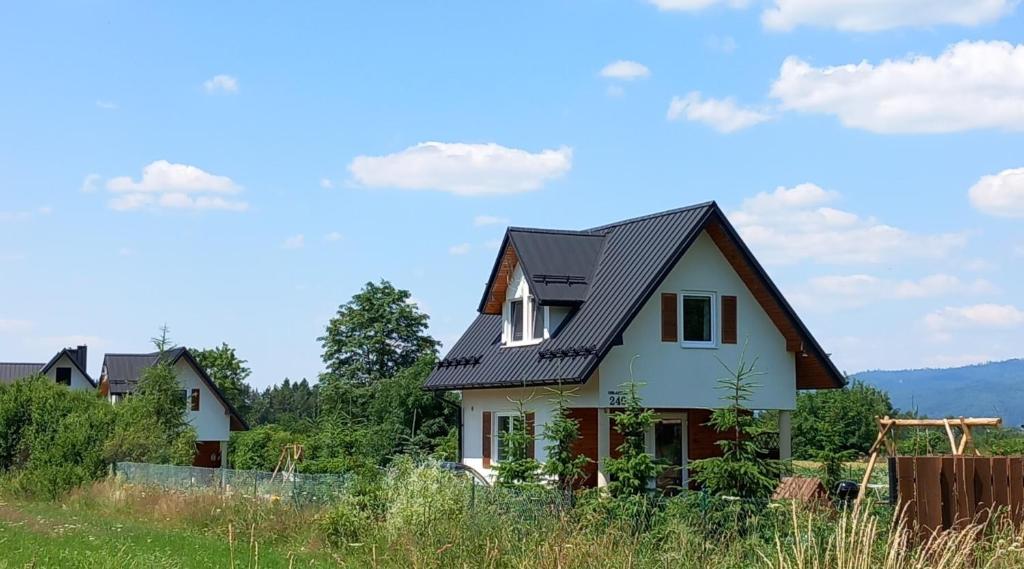 a house with a metal roof at Domki Obłazówka nad Białką in Nowa Biała