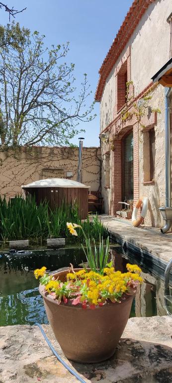 Zahrada ubytování Viento de Ladera PISCINA NATURAL y JACUZZI EXT