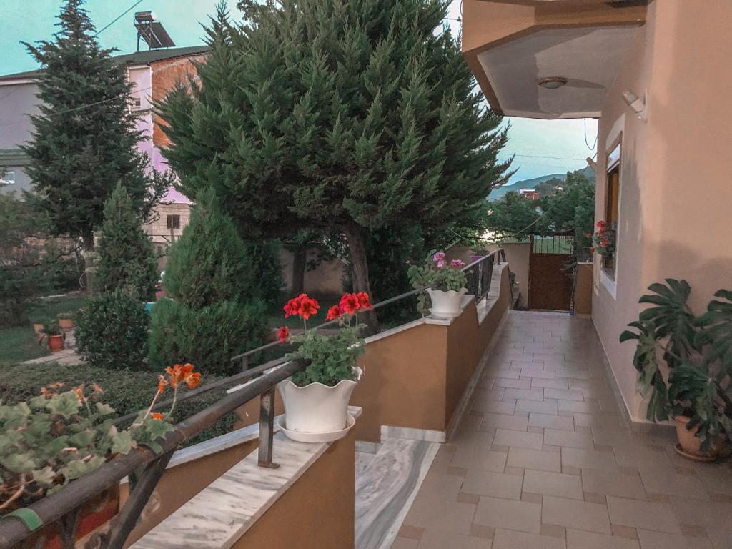Balkón nebo terasa v ubytování Camping & Guest House Herges