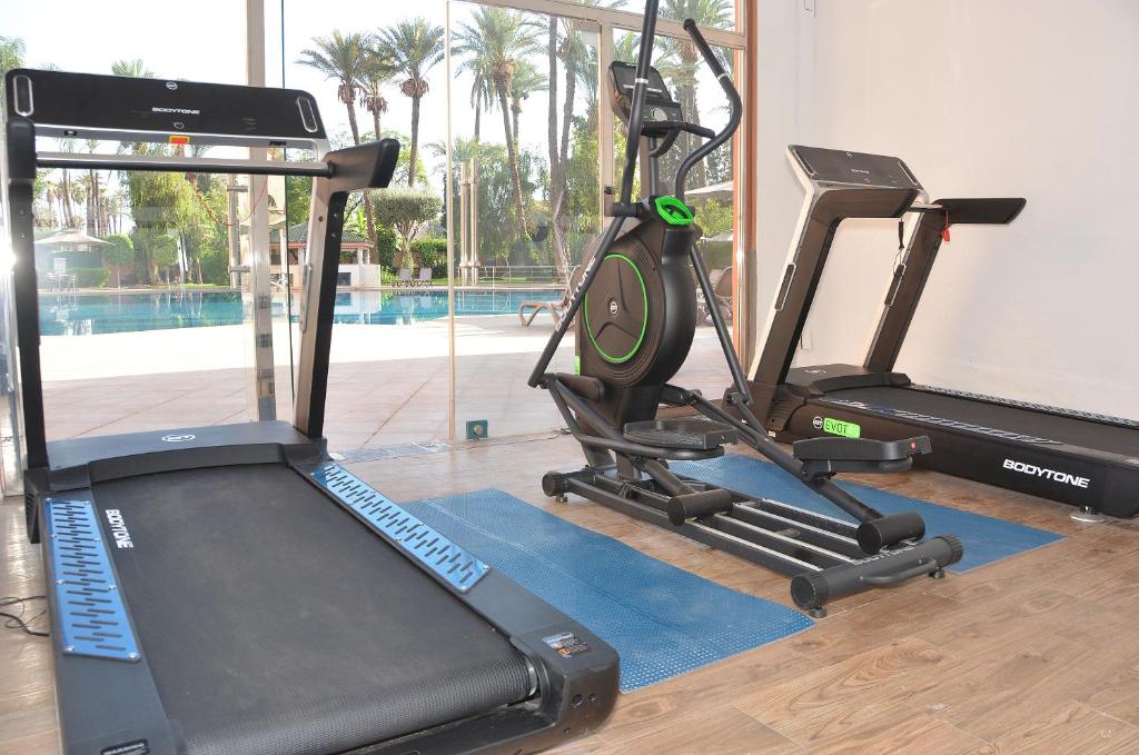 Fitness centrum a/nebo fitness zařízení v ubytování Royal Mirage Deluxe