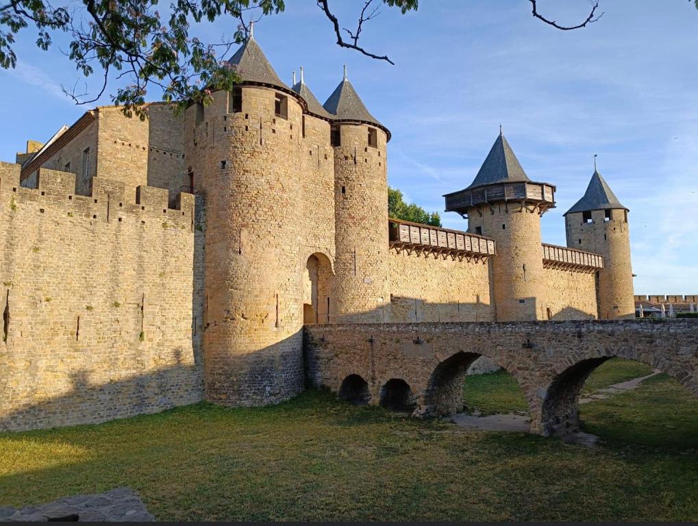 ein großes Schloss mit einer Brücke davor in der Unterkunft LE 31 in Carcassonne