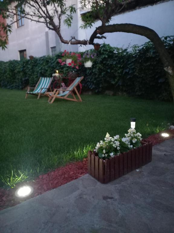 Oskar apartman Negotin - Housity