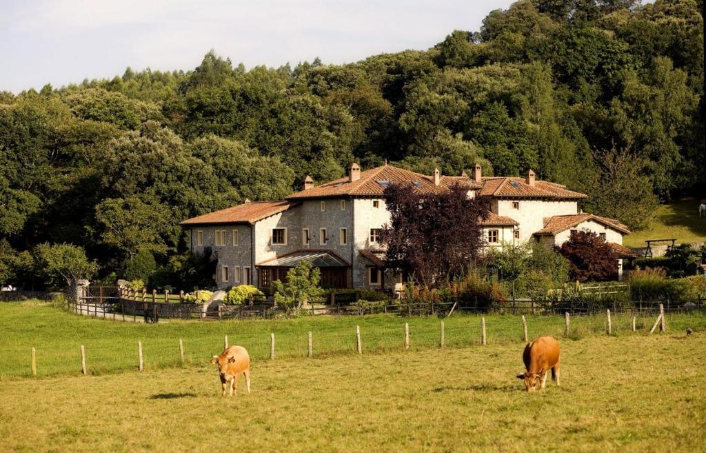 two cows grazing in a field in front of a house at HOTEL RURAL ARREDONDO in Celorio
