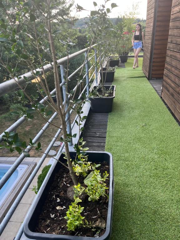Zahrada ubytování Apartmán s wellness službami