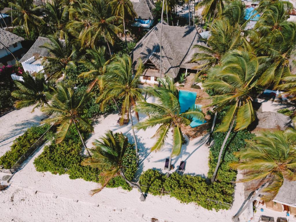 una vista aérea de un complejo en una playa con palmeras en Raha Lodge Zanzibar Boutique Hotel, en Jambiani