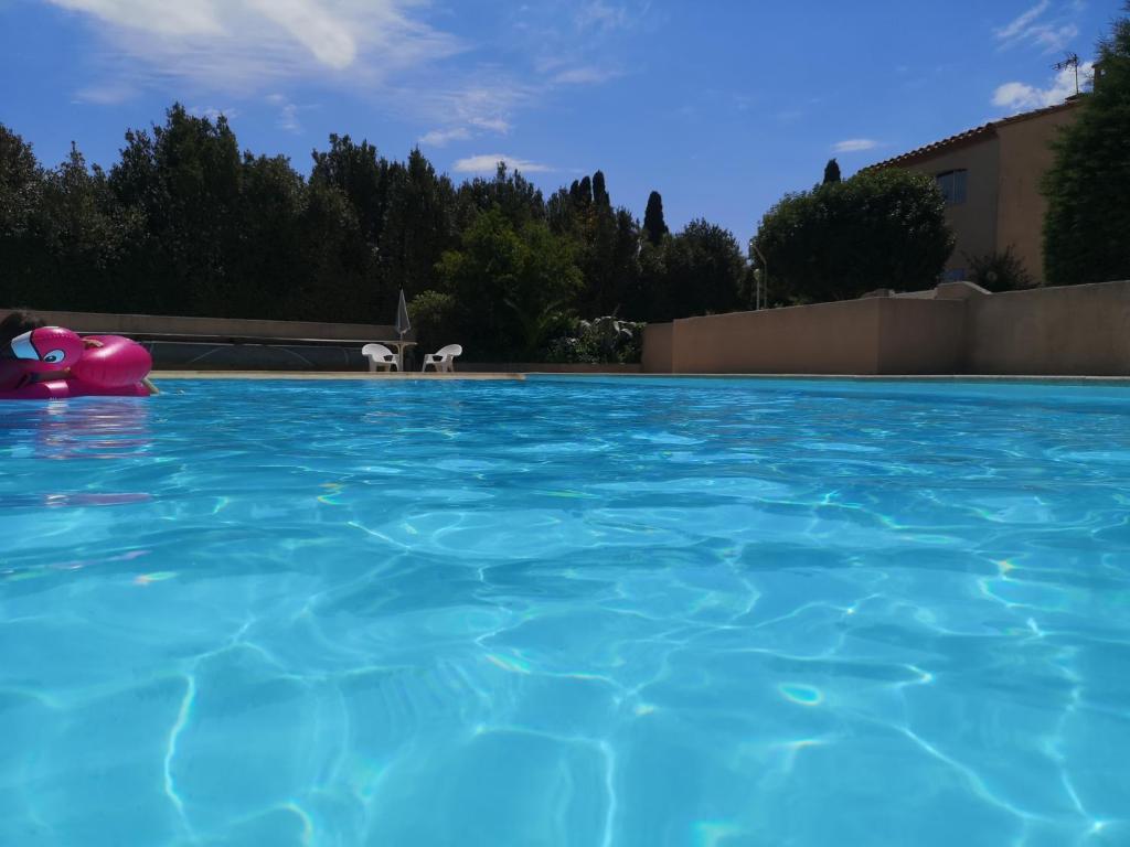 una piscina con dos perros en el agua en Mon oranger, en Claira